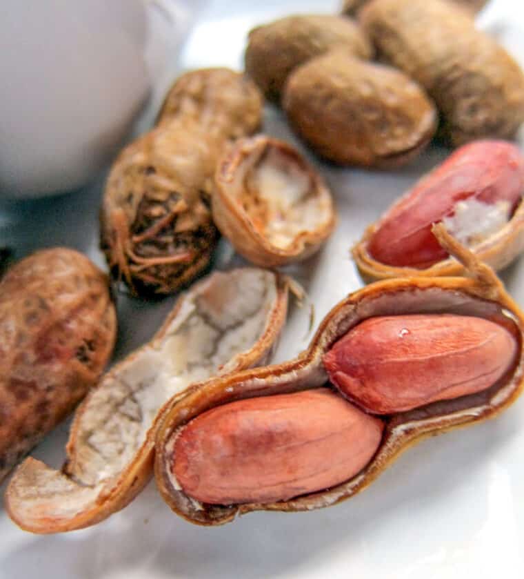 boiled peanuts on a plate