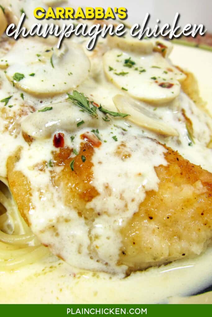 plate of chicken and pasta in cream sauce