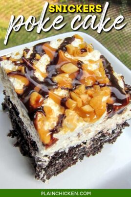 slice of chocolate cake topped with whipped cream, chocolate, caramel and peanuts