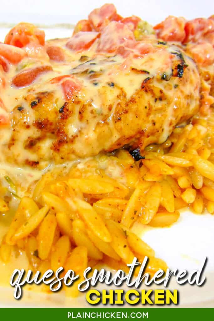 plate of grilled chicken over orzo smotherd in queso dip