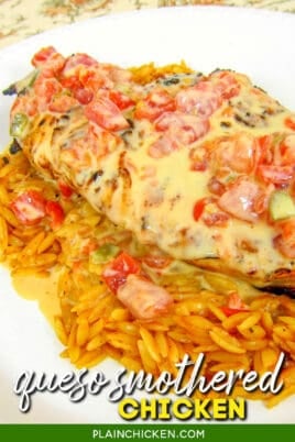 plate of grilled chicken over orzo smotherd in queso dip