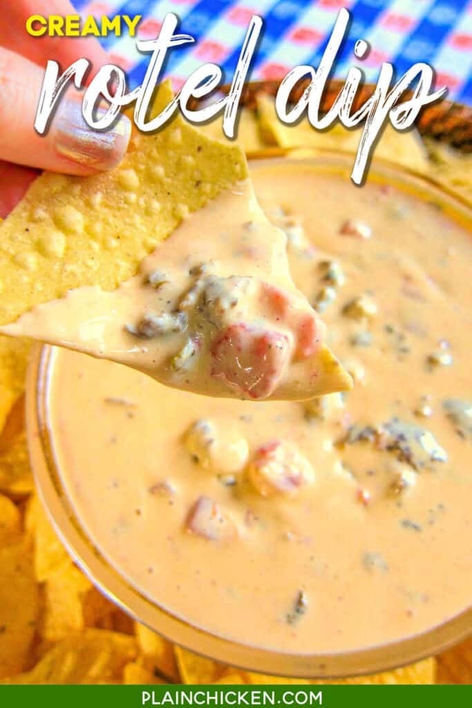 chip with queso dip