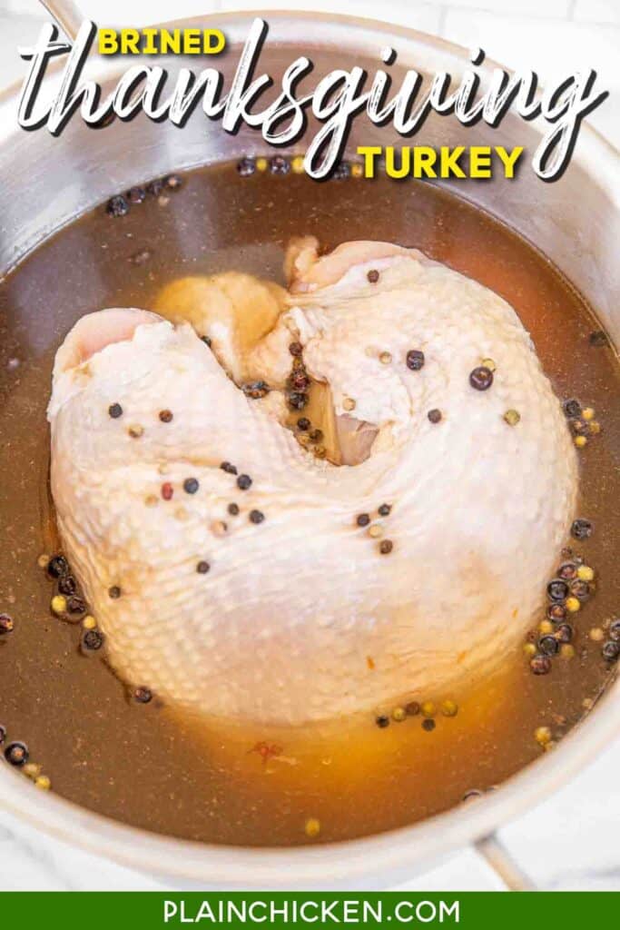turkey in brine in a stockpot