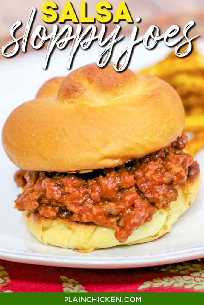 sloppy joe sandwich on a plate with fries with text overlay