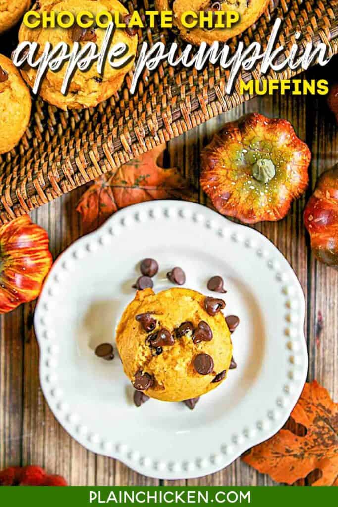 chocolate chip muffin on a plate