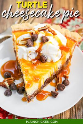 slice of turtle cheesecake pie on a plate