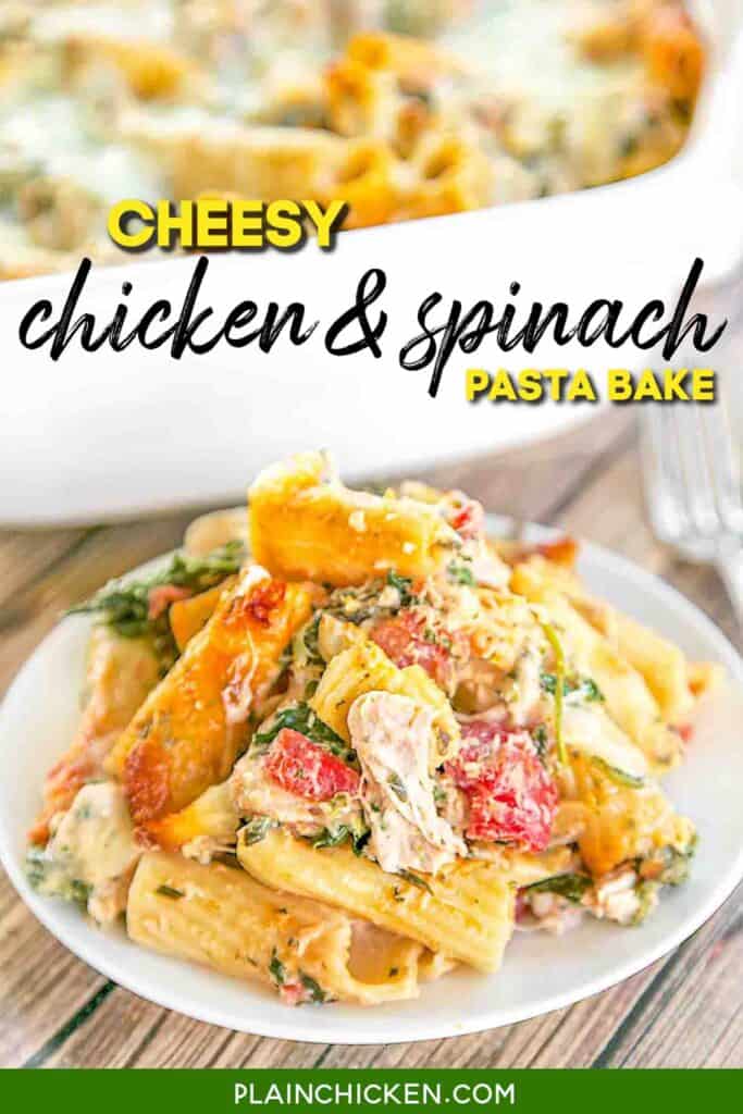 plate of chicken & spinach pasta