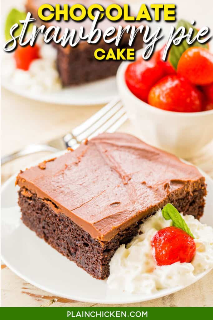 slice of chocolate cake on a plate with text overlay