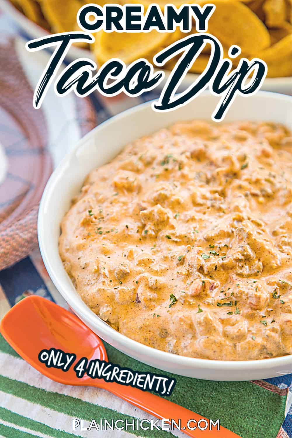 Creamy Taco Dip Football Friday Plain Chicken,Getting Rid Of Flying Ants