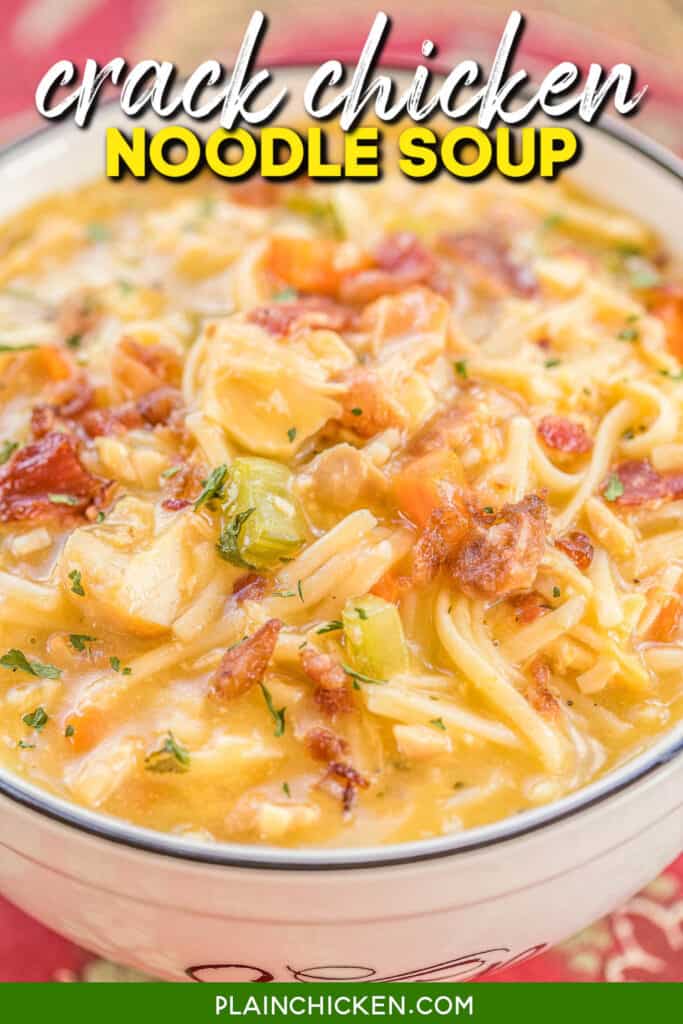 bowl of chicken noodle soup with cheese and bacon