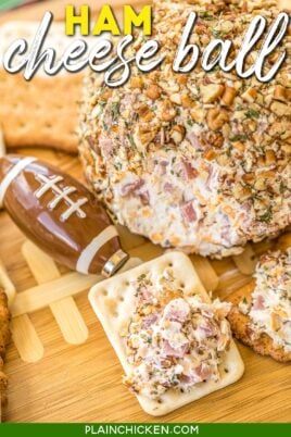ham and cheese ball on a cracker