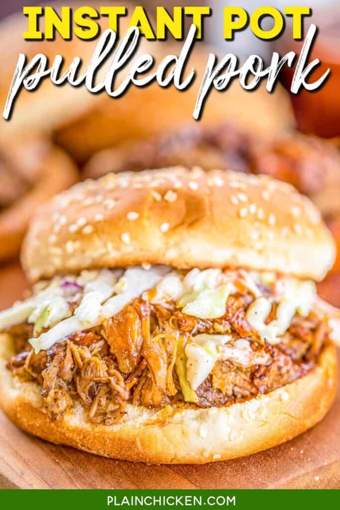 pulled pork sandwich topped with slaw