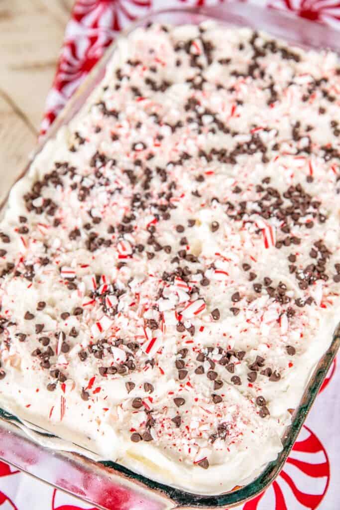 peppermint chocolate chip cake in a baking dish