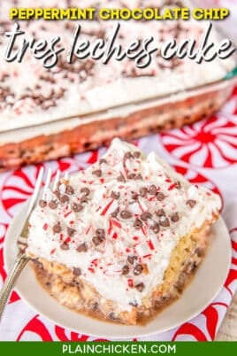 slice of peppermint chocolate chip cake on a plate