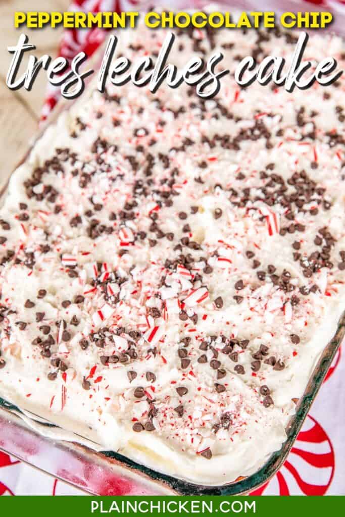 peppermint chocolate chip cake in a baking dish