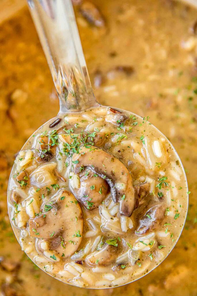 ladle of mushroom & rice soup