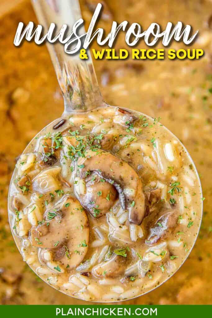 ladle of mushroom & rice soup