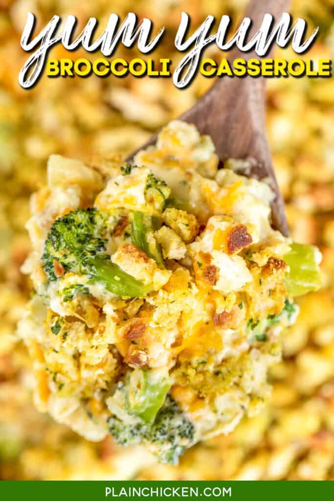 spoonful of broccoli and stuffing casserole