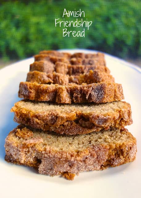 Amish Friendship Bread - AMAZING bread!!! It starts with a starter. You can get 10 loaves with one batch! Great for gift giving!!!! The starter freezes well. Yeast, water, flour sugar, milk, eggs, oil, cinnamon, vanilla, vanilla pudding, baking powder and baking soda. We LOVE this bread! #bread #dessert #amishfriendshipbread