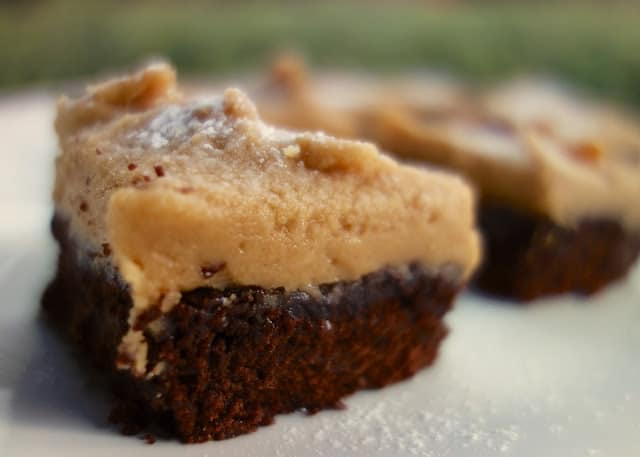 Peanut Butter Frosted Brownies - this frosting is CRAZY good! Make a box of brownies and top them with this frosting. Seriously delicious!! I had zero self control around these brownies!! Brownie mix, powdered sugar, vanilla, butter, peanut butter and milk. SO easy and SOOO good!  #brownies #peanutbutter #dessert