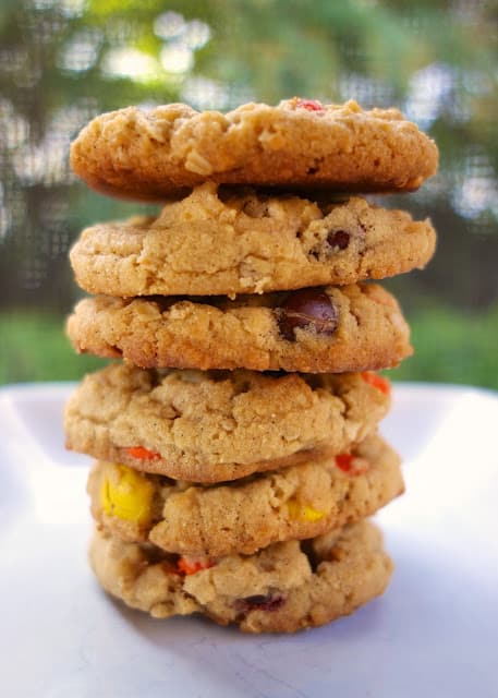Reese's Pieces Peanut Butter Oatmeal Cookies - peanut butter lover's dream!!! Crispy on the outside and soft on the inside. PERFECT!! Flour, baking soda, salt, butter, peanut butter, sugar, brown sugar, vanilla, egg, oatmeal, Reese's pieces. Loads of peanut butter flavor with a hint of oatmeal. SO delicious! I always double the recipe because they don't last long in our house!