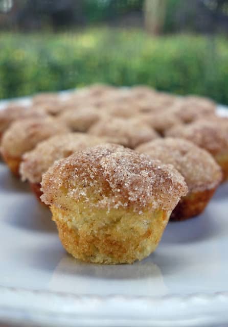 Mini Applesauce Muffins - GREAT make ahead breakfast.Quick homemade muffins rolled in butter cinnamon and sugar! Butter, sugar, eggs, applesauce, flour, baking powder, salt, cinnamon. These things are SOOO good!!! Way too easy to eat! #muffin #breakfast #applesauce