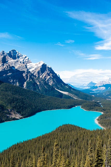 Peyto Lake - Alberta Canada - During the summer, significant amounts of glacial rock flour flow into the lake, and these suspended rock particles give the lake a bright, turquoise colour. 