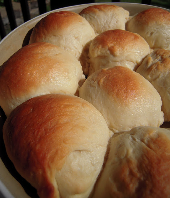 Honey Yeast Rolls - so easy and SOOO delicious!! Great as a side but even better to use with sandwiches! Yeast, warm water, honey, oil, egg, bread flour and butter. We make a batch every Sunday! #bread #rolls #yeast