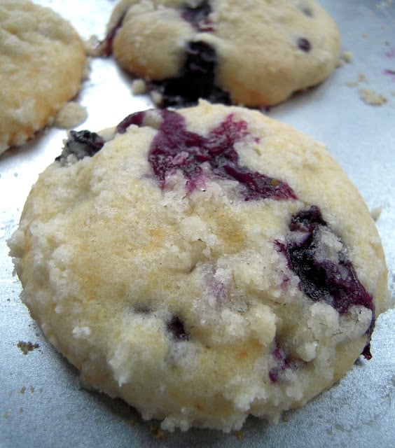 Blueberry Muffin Top Cookies