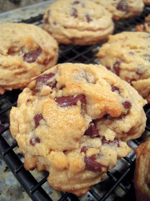 Bisquick Chocolate Chip Cookies - the last chocolate chip cookie recipe you will ever need!! Seriously DELICIOUS!!! Bisquick, brown sugar, vanilla, egg, butter, chocolate chips and nuts. These are the MOST requested cookie I make. SO good! #bisquick #chocolatechipcookie #cookierecipe