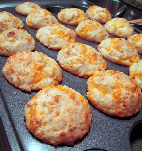 cheese muffins in muffin tin