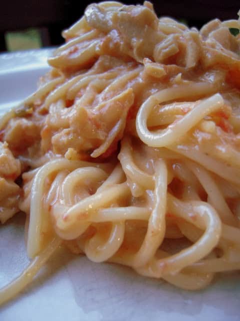 Rotel Chicken Spaghetti - chicken, cream of chicken soup, rotel, velveeta, spaghetti - I can not get enough of this stuff! We make it at least once a month! Also makes a great freezer meal.