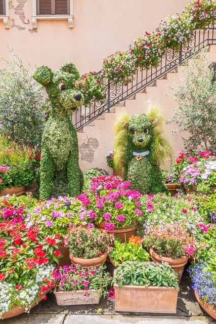 Epcot International Flower and Garden Festival 2017 - beautiful flowers and amazing food! You MUST make a trip to Walt Disney World to check out the festival! SO fun!