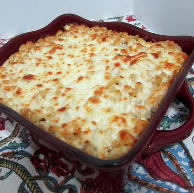 Three Cheese Chicken Alfredo Bake - great make-ahead pasta dish. Elbow macaroni, alfredo sauce, sour cream, ricotta, garlic, chicken, eggs, parmesan and mozzarella cheese. SO good!! We make this at least once a month! Can freeze half for later. This is THE BEST pasta casserole we've ever eaten!!!