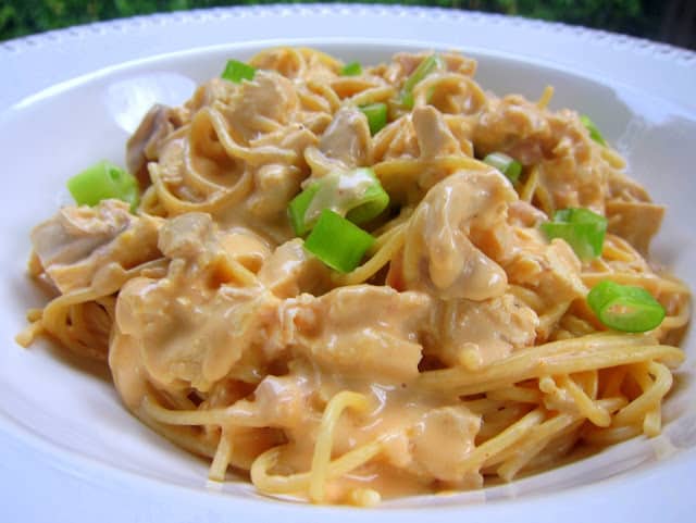 Buffalo Chicken Spaghetti Recipe - chicken and spaghetti tossed in a cream cheese, buffalo, cheddar and Ranch sauce - OMG! SO good. I wanted to lick the plate!
