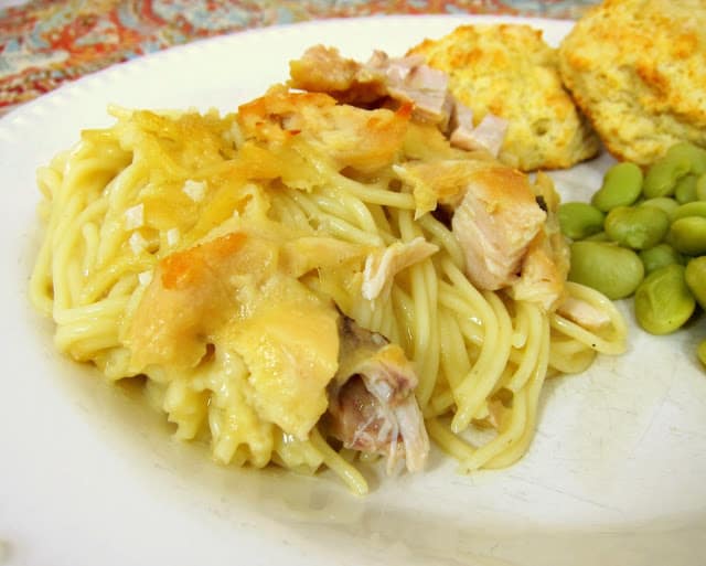Chicken Tetrazzini Recipe - my Grandmother's recipe! Chicken, vermicelli pasta, cream of chicken and mushroom soup, chicken broth, parmesan cheese. One of my all-time favorite recipes. I can eat way too much of this stuff! Can make ahed and freezer for later. 