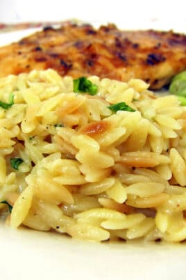 spoonful of orzo on a plate