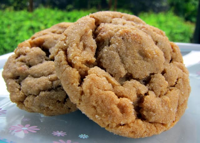 Peanutter Butter Cookies Recipe - soft peanut butter cookies with chopped Nutter Butters inside - peanut butter overload! SO good! We almost ate the whole batch in one day!!