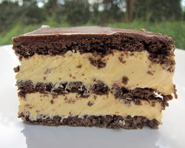 No-Bake Peanut Butter Eclair Cake Recipe - peanut butter pudding, cool whip and chocolate graham crackers layered and topped with chocolate frosting. It gets better the longer it sits in the fridge - it is just SO hard to wait to eat it. SOOO good. People go nuts over this easy dessert recipe!