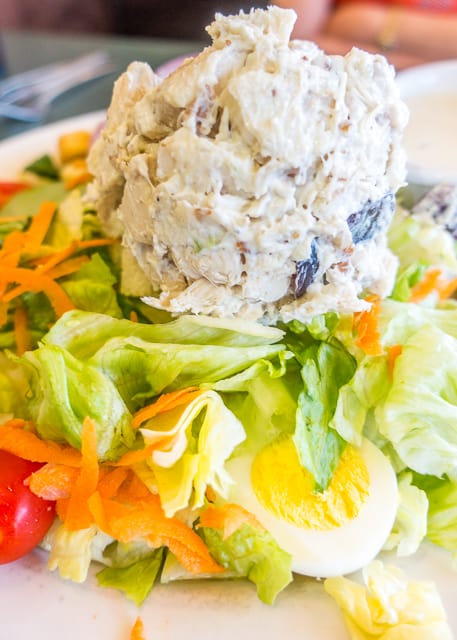 Chicken Salad Salad at Metro Diner -  Where to Eat in St. Augustine, Florida - we found several hidden gems in St. Augustine that you MUST try on your next trip. Pizza, Burgers, Sandwiches, Craft Cocktails, and CRAZY milkshakes! Something for everyone!!