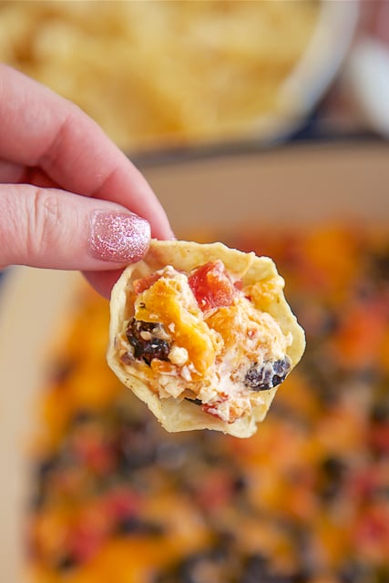 Southwestern Black Bean Dip - CRAZY good! Only 5 ingredients! Cream cheese, taco seasoning, diced tomatoes and green chiles, black beans and cheddar cheese. Always the first thing to go! Can assemble ahead of time and bake when ready to eat. Everyone always asks for the recipe!