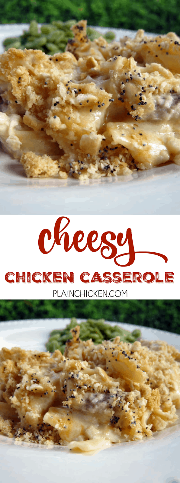 Cheesy Chicken Casserole Recipe - Chicken, noodles, chicken soup, sour cream, cheddar, mozzarella topped with butter crackers and poppy seeds - makes a ton. Great for a potluck. Easy to half or make a whole batch and freeze half for later!