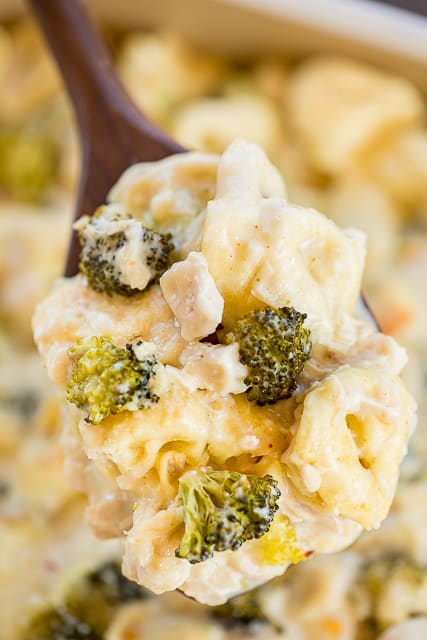 Chicken and Broccoli Tortellini Casserole - comfort food at its best! Chicken, broccoli and tortellini tossed in a quick white sauce and topped with parmesan cheese. The whole family cleaned their plate! Even our picky eaters!! Chicken, broccoli, tortellini, butter, flour, garlic, chicken broth, half-and-half, onion and red pepper. Can make ahead and freeze for later. Great easy weeknight dinner casserole recipe! #casserole #freezermeal #chickendinner #chickencasserole #kidfriendly