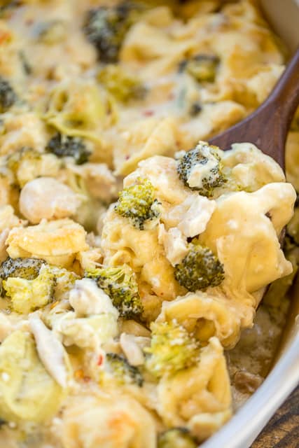 Chicken and Broccoli Tortellini Casserole - comfort food at its best! Chicken, broccoli and tortellini tossed in a quick white sauce and topped with parmesan cheese. The whole family cleaned their plate! Even our picky eaters!! Chicken, broccoli, tortellini, butter, flour, garlic, chicken broth, half-and-half, onion and red pepper. Can make ahead and freeze for later. Great easy weeknight dinner casserole recipe! #casserole #freezermeal #chickendinner #chickencasserole #kidfriendly