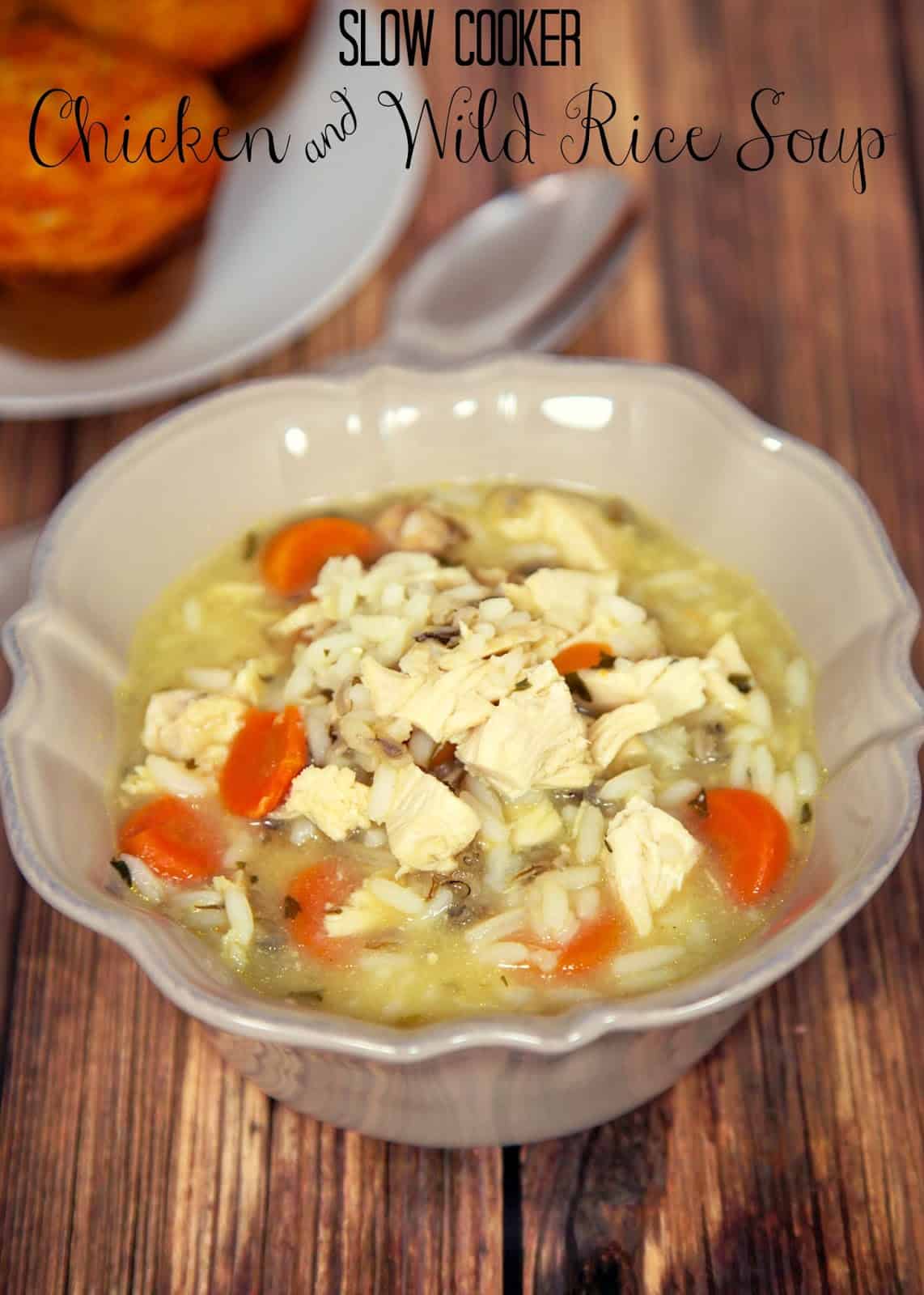 Slow Cooker Chicken and Wild Rice Soup - chicken, carrots, long grain and wild rice, and chicken broth - cooks all day in the slow cooker. Tastes great. Freezes well too!