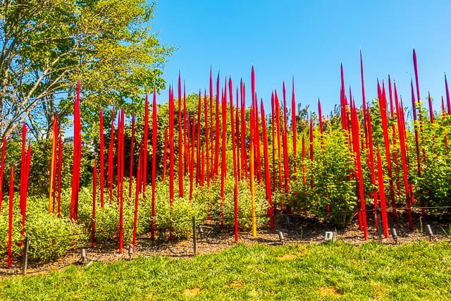Chihuly at The Biltmore - Red Reeds, 2017