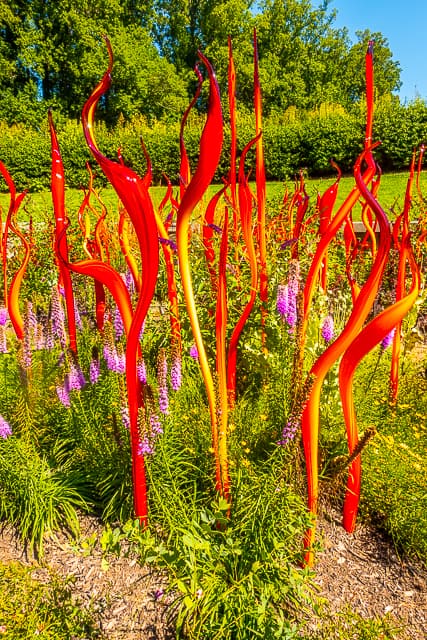Chihuly at The Biltmore - Cattails and Copper Birch Reeds, 2015