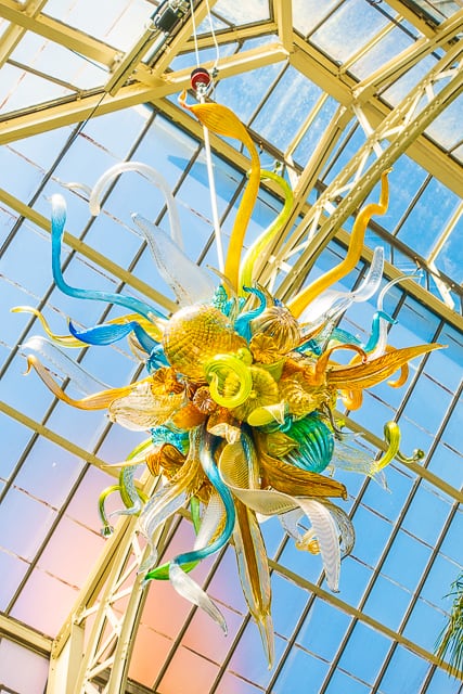 Chihuly at The Biltmore - Burnished Amber, Citron and Teal Chandeliers, 2015