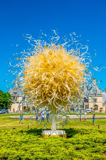 Chihuly at The Biltmore - Sole d'Oro, 2017