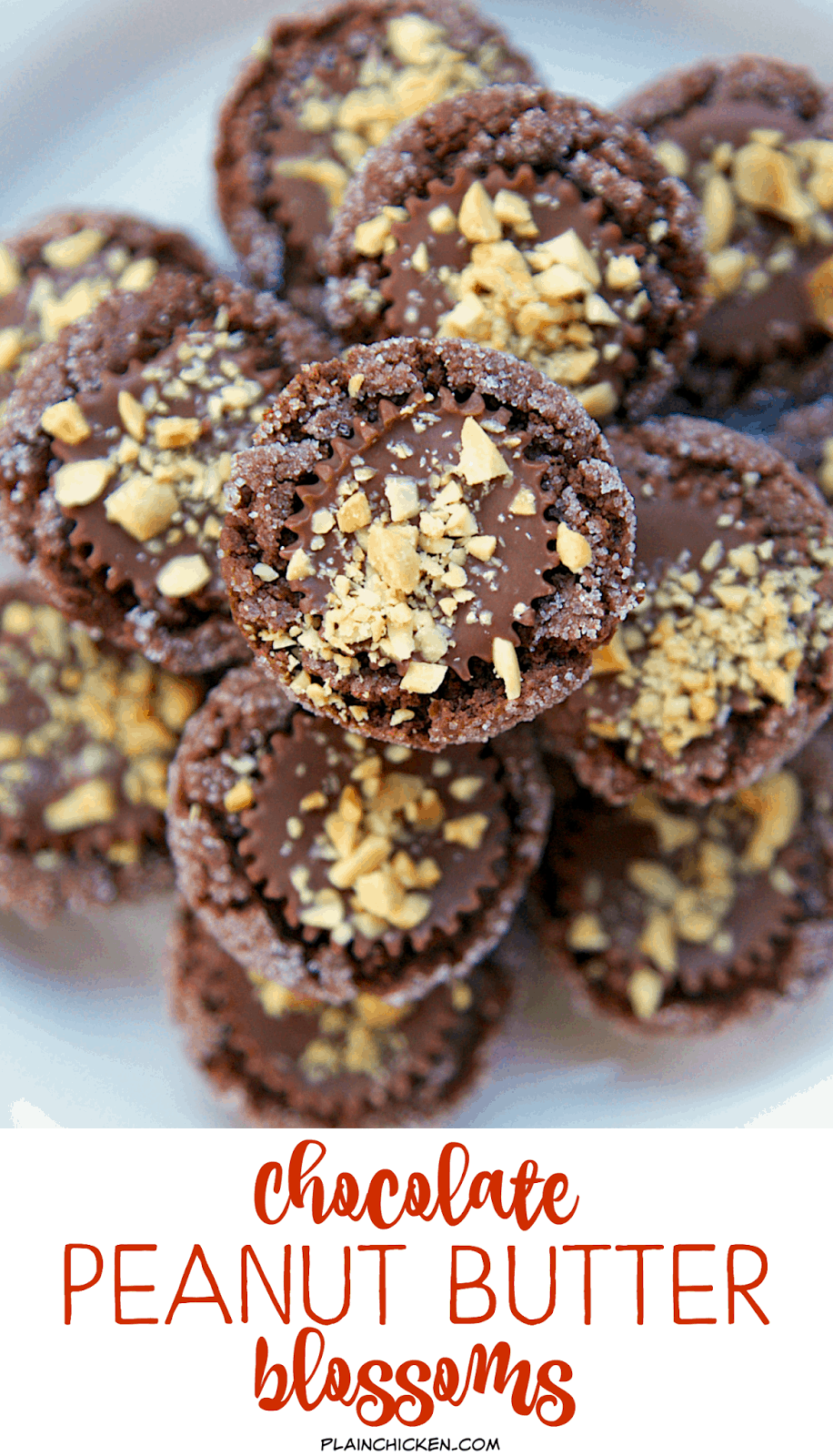 Chocolate Peanut Butter Blossoms - peanut butter chocolate cookies topped with a Reese's cup and chopped peanuts. OMG! Heaven! I have zero self-control around these cookies! Makes 5 dozen - great for sharing.